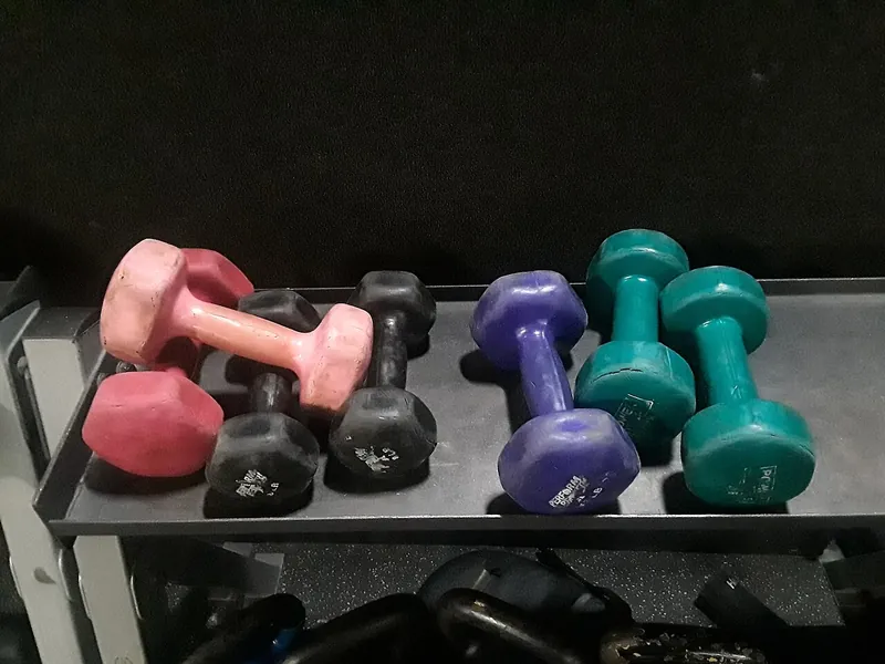 Colorful dumbbells on a gym rack (illustrative photo)